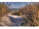 Inviting sandy path leading to the beach through tall grass and dunes under a sunny sky at 1903 S Ocean Blvd. S # 808, North Myrtle Beach, SC 29582