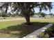 Landscaped corner lot with green grass and mature shade trees in a quiet neighborhood at 206 N Levee Dr., Georgetown, SC 29440
