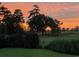 Backyard view showcasing mature trees, landscaping, and a vibrant sunset backdrop on the golf course at 290 Dornoch Dr., Pawleys Island, SC 29585