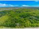 High angle shot of a verdant forest, stretching out to the horizon at 1050 Hagley Dr., Pawleys Island, SC 29585