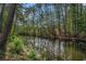Scenic view of a peaceful pond surrounded by lush green trees at 109 Obd Way, Myrtle Beach, SC 29588