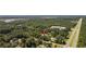 Aerial view of the property showing lush trees and proximity to the highway at 62 Warbler St., Georgetown, SC 29440
