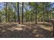 View of backyard featuring mature trees and wooden fence at 62 Warbler St., Georgetown, SC 29440