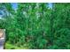 Lush trees and foliage create a serene and private backyard setting at 1673 Carriage Ln., Little River, SC 29566