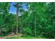 Dense trees offering privacy and a beautiful natural backdrop to the property at 1673 Carriage Ln., Little River, SC 29566