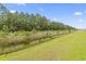 Scenic backyard view of a pond and grassy area bordered by a line of trees at 3021 Sistine St., Myrtle Beach, SC 29579