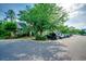 Exterior shot of a parking area surrounded by trees with houses in the background at 3120 Mercer Dr., Conway, SC 29526