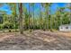 Cleared lot surrounded by mature trees, offering a peaceful and private setting at 3827 El Duce Pl., Myrtle Beach, SC 29588