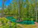 Beautiful backyard pond surrounded by lush greenery and mature trees, creating a tranquil outdoor space at 3827 El Duce Pl., Myrtle Beach, SC 29588