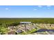 Overhead shot of 388 Hillsborough Drive with its community, water feature, and surrounding woodland at 388 Hillsborough Dr., Conway, SC 29526