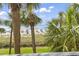 Beach view framed by palm trees features blue skies and colorful beach umbrellas in the distance at 7100 N Ocean Blvd. # 204, Myrtle Beach, SC 29572
