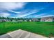 Spacious backyard with green grass and landscaping at 176 Springtide Dr., Conway, SC 29527