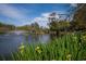 Picturesque pond with a fountain, surrounded by green reeds and trees under a bright blue sky at 1801 N Ocean Blvd. # Q-2, North Myrtle Beach, SC 29582