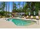 Backyard pool area with lounge chairs, umbrellas, and a shed surrounded by lush greenery and tall pine trees at 116 Chapel Ridge Circle, Myrtle Beach, SC 29588