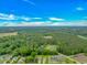 Stunning aerial view of homes nestled amongst lush trees and foliage at 3539 Harrelson Ave., Loris, SC 29569