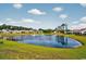 A serene pond view surrounded by lush greenery and homes reflecting the sky's blue hues at 1631 Hepburn Dr., Little River, SC 29566