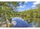 Scenic view of lake from back deck with lush foliage at 4131 Gunter Lake Rd., Galivants Ferry, SC 29544