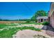 Expansive backyard with mature trees and a serene field view, offering a tranquil outdoor experience at 4145 Highway 308, Galivants Ferry, SC 29544