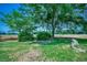 Lush backyard featuring mature shade trees and open field views, offering a serene and private outdoor space at 4145 Highway 308, Galivants Ferry, SC 29544