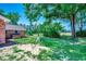 Spacious backyard with lush lawn and mature trees, providing a peaceful and private outdoor space at 4145 Highway 308, Galivants Ferry, SC 29544