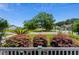Charming neighborhood street view with mature trees and well-maintained homes at 450 Oaklanding Ln., Murrells Inlet, SC 29576