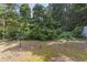 View of the backyard with trees and greenery under a bright sky at 618 5Th Ave. S, North Myrtle Beach, SC 29582