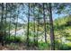 Beautiful pond view through trees, reflecting the sky, enhancing this property's serene natural setting at 6253 Catalina Dr. # 1523, North Myrtle Beach, SC 29582