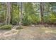 Shaded backyard featuring mature trees, a hammock, and an American flag at 86 Wickham Ct., Pawleys Island, SC 29585