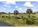 Scenic pond view surrounded by lush greenery, palm trees, and lovely homes in a tranquil neighborhood at 1100 Possum Trot Rd. # C-203, North Myrtle Beach, SC 29582