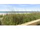 A view of the ocean framed by dune grass at 1207 S Ocean Blvd. # 20109, Myrtle Beach, SC 29577