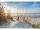 Beautiful coastal view with beach grass along the sandy dunes and a clear horizon at 601 N Hillside Dr. # 4434, North Myrtle Beach, SC 29582