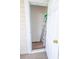 Storage area with carpet floor, housing a ladder behind a white door at 6203 Catalina Dr. # 1333, North Myrtle Beach, SC 29582