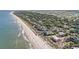 Aerial view showcasing a luxurious beachfront community, bordered by pristine sand and lush greenery at 123 Pioneer Loop, Georgetown, SC 29440