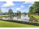 Scenic pond view with a fountain, ducks, and lush landscaping at 4012 Grousewood Dr., Myrtle Beach, SC 29588
