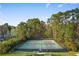The well-maintained tennis courts are surrounded by trees at 5870 Longwood Dr. # 201, Murrells Inlet, SC 29576