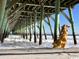 A Personal in a yellow dress walks under a pier with ocean views at 102 Scotch Broom Dr. # B-204, Little River, NC 29566