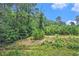 The lot is partially cleared and offers easy access to walking trails at 1460 Blue Tree Ct. # E, Myrtle Beach, SC 29588