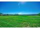Expansive green pasture perfect for horses to graze, offering a picturesque country lifestyle on the property at 181 Halfway Rd., Nichols, SC 29581