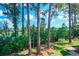 Serene backyard with mature trees and partial view of a lake at 4486 Little River Inn Ln. # 2107, Little River, SC 29566
