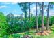 Beautiful backyard with lush greenery, mature trees and a glimpse of lake at 4486 Little River Inn Ln. # 2107, Little River, SC 29566