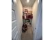 A functional closet with shelving offers storage for clothes and belongings at 8211 Forest Edge Dr., Myrtle Beach, SC 29579