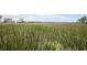 Scenic marsh view showing the natural surroundings in its beautiful, natural state at 310 Marsh Pl. # 108, Murrells Inlet, SC 29576