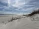 Tranquil beach scene with sand dunes, sea oats, and a serene ocean backdrop under a cloudy sky at 415 Ocean Creek Dr. # 2117, Myrtle Beach, SC 29572