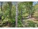Scenic backyard view with mature trees and well-maintained lawn; an oasis of peace and privacy at 739 Tall Oaks Dr., Myrtle Beach, SC 29588