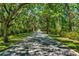 Scenic tree-lined driveway leading to a beautiful property, surrounded by lush greenery and mature trees at 9 Winnowing Way, Pawleys Island, SC 29585