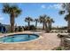Community pool with palm trees and blue skies in the background at 1605 S Ocean Blvd. # 204, Myrtle Beach, SC 29577