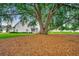 Backyard features an impressive mature shade tree and well maintained lawn at 620 Lorenzo Dr. # 620, North Myrtle Beach, SC 29582