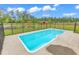 Backyard pool with concrete patio, black metal safety fence and lush green lawn at 7377 Pauley Swamp Rd., Conway, SC 29527