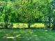 Lush green backyard with mature trees and a chain-link fence at 8 Raymond St., Andrews, SC 29510