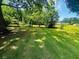A large, green backyard with mature trees and a chain-link fence at 8 Raymond St., Andrews, SC 29510